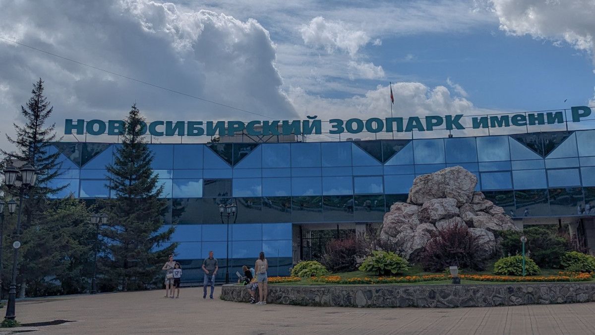 новосибирск зоопарк