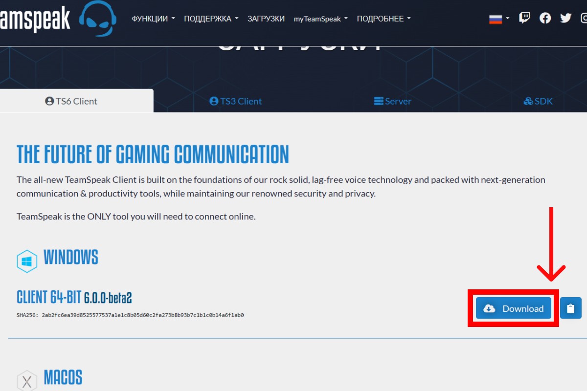 как установить тим спик