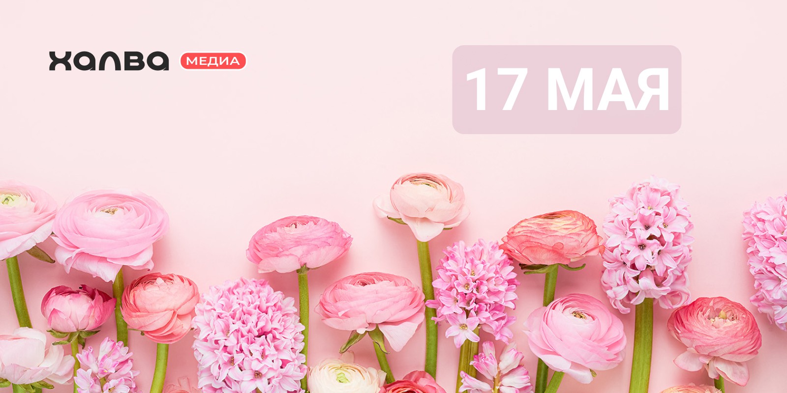 У кого день рождения 17 мая