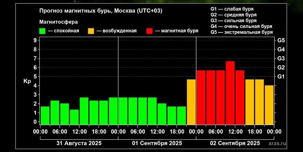 прогноз активности