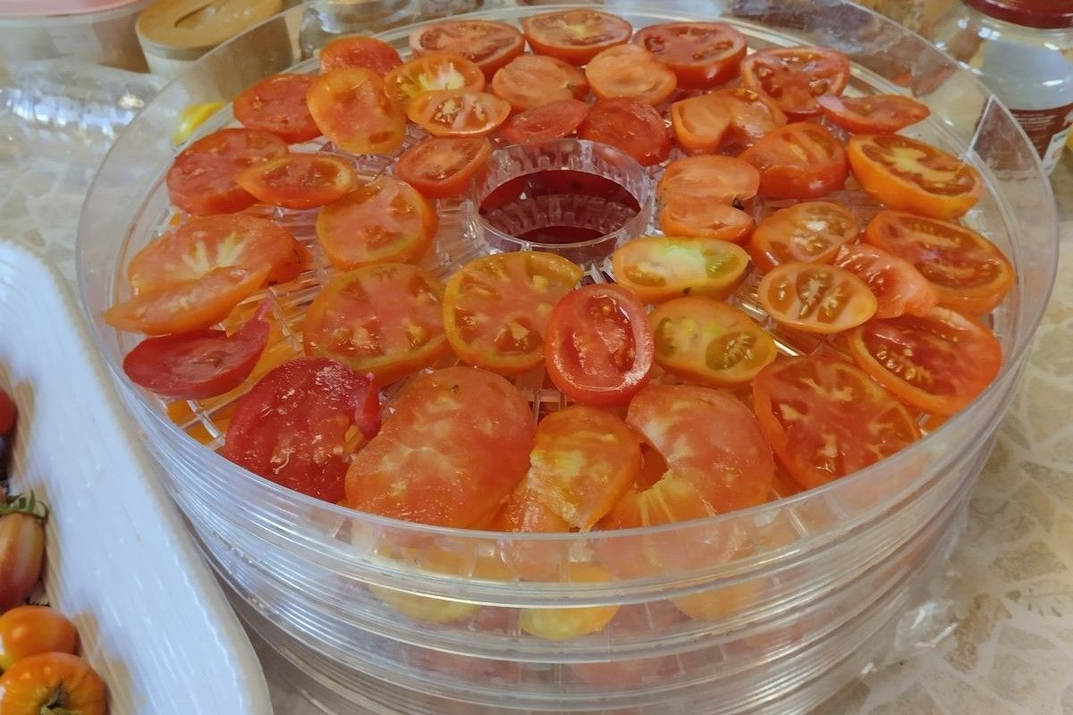 поддоны сушилки