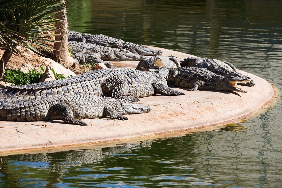 парк Джерба Эксплор