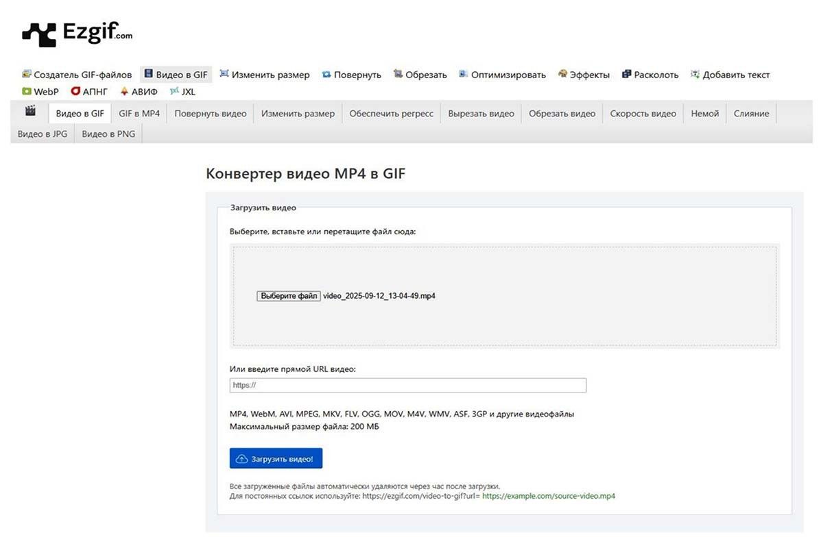гифка из видео на компьютере