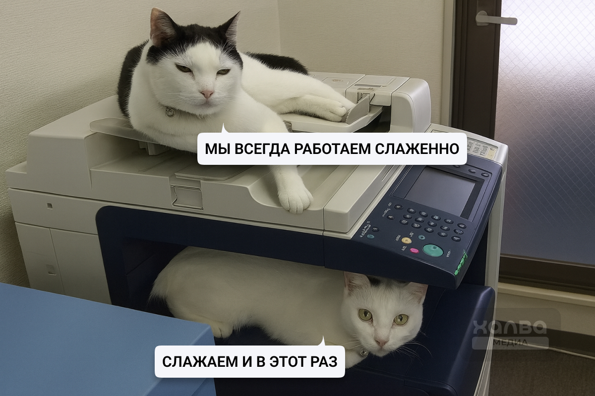 как готовиться к публичным выступлениям.