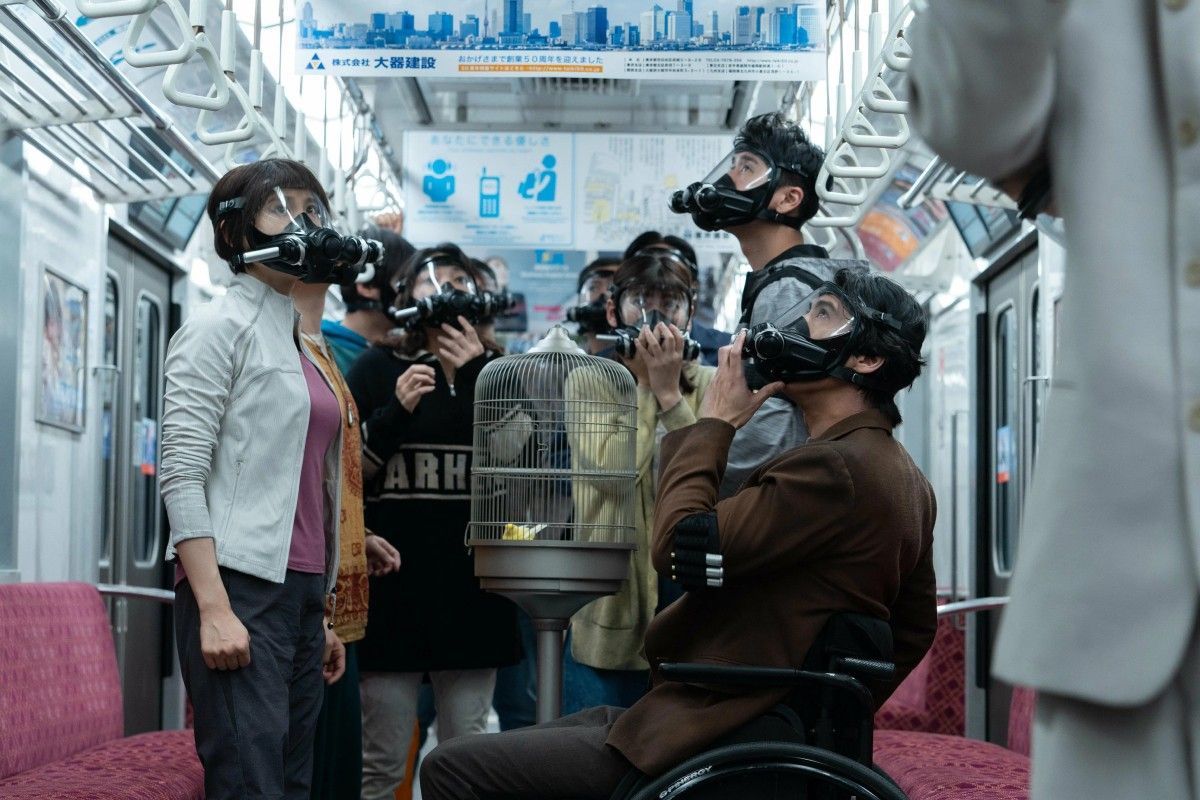 алиса в пограничье