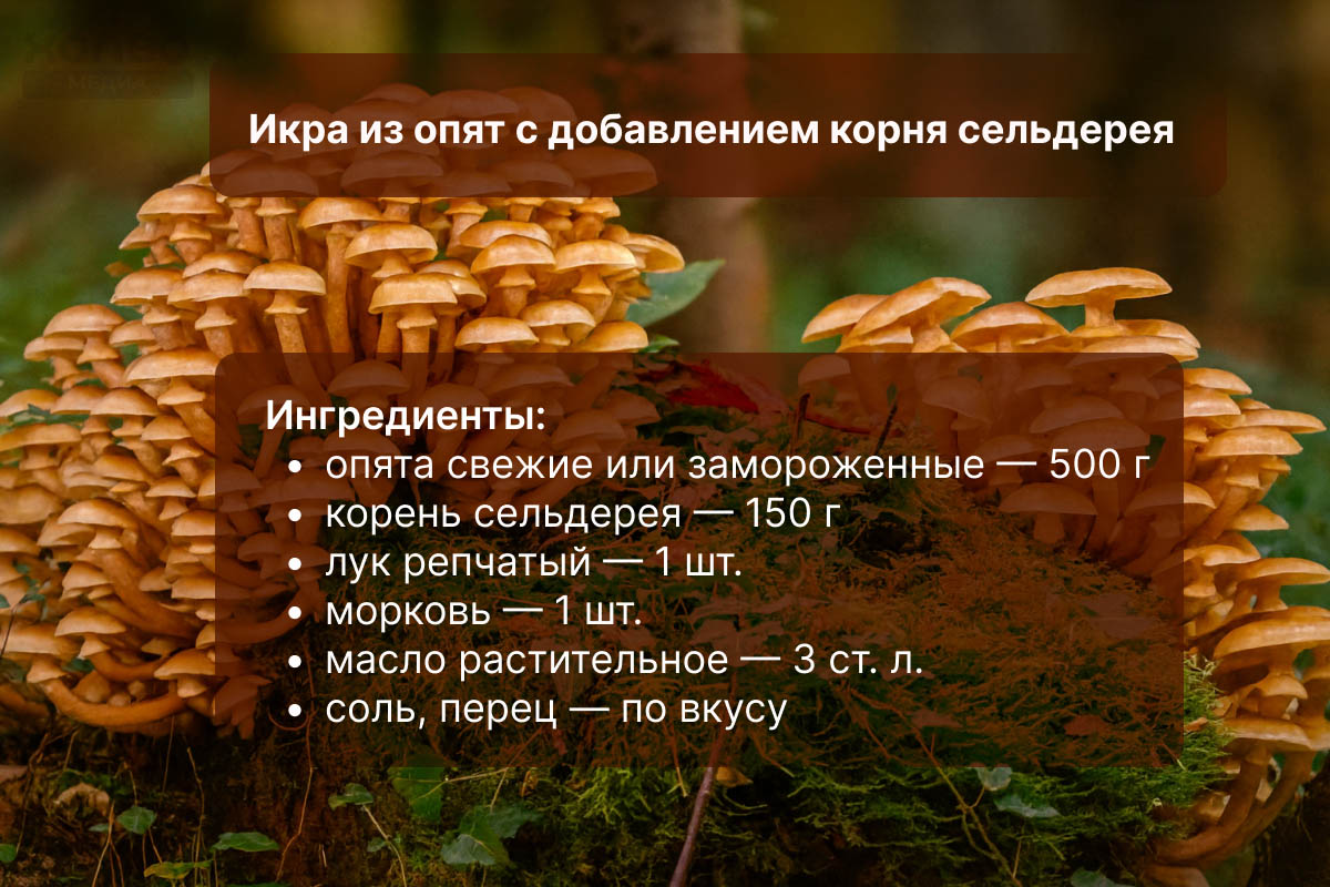 икра грибная