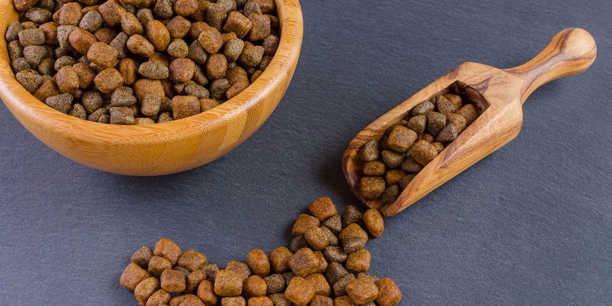 Состав корма для собак: что должно быть на первом месте и каких добавок стоит избегать
