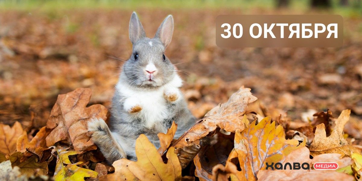 знаменитости 30 октября