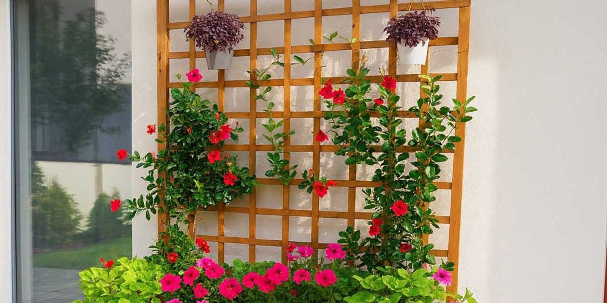 Идеи для сада и огорода: оригинальный декор своими руками