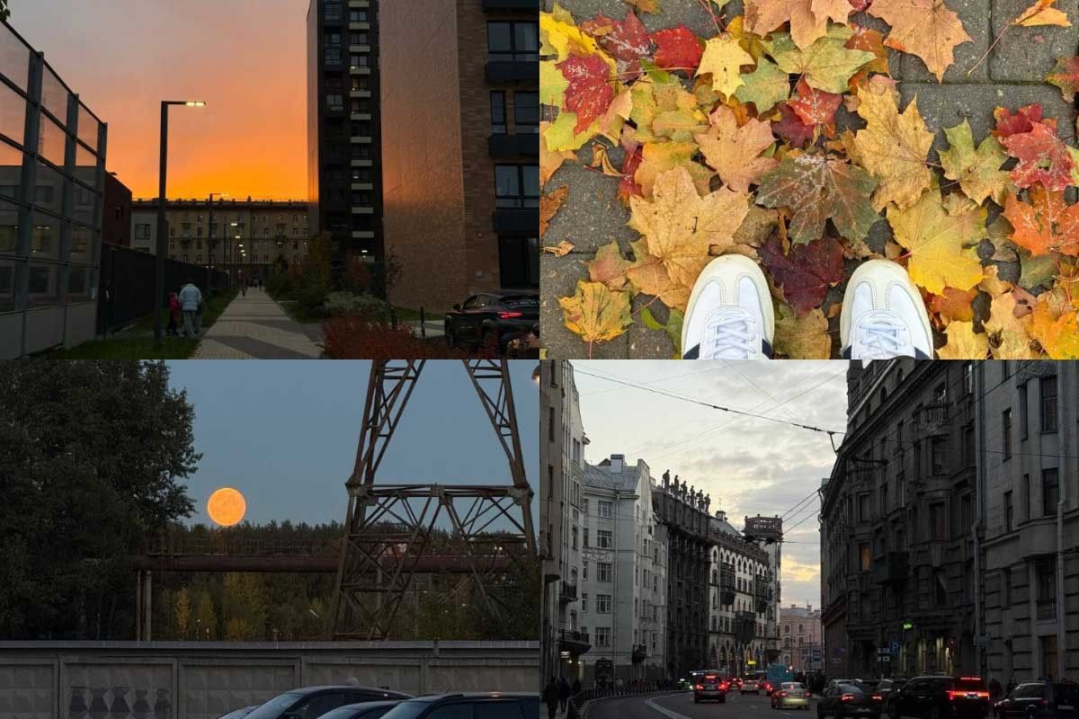 ходьба прогулки гулять