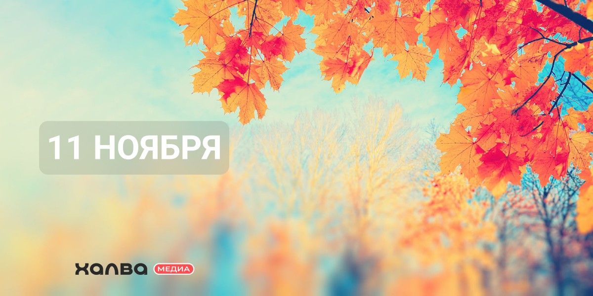 кто родился 11 ноября