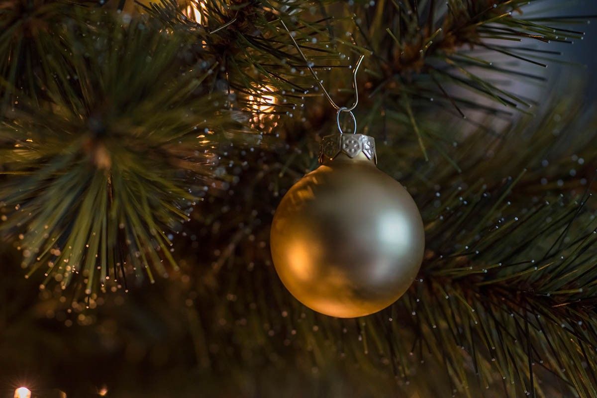 как выбрать новогоднюю елку