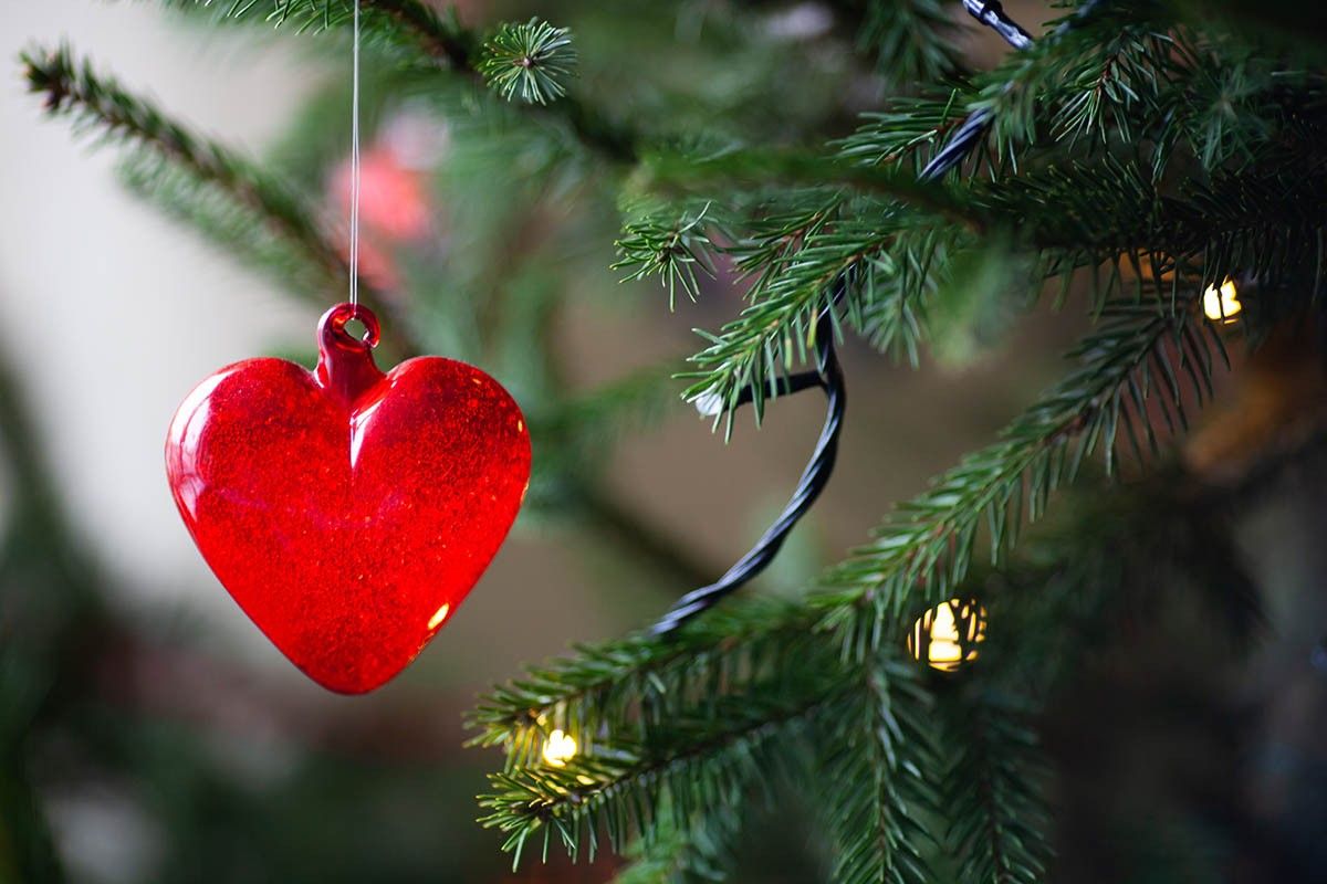 как выбрать елку для дома