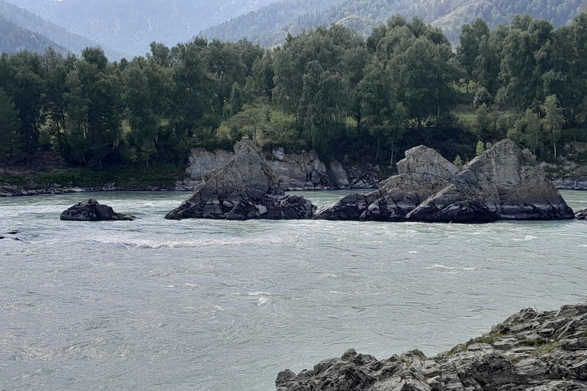 зубы дракона алтай