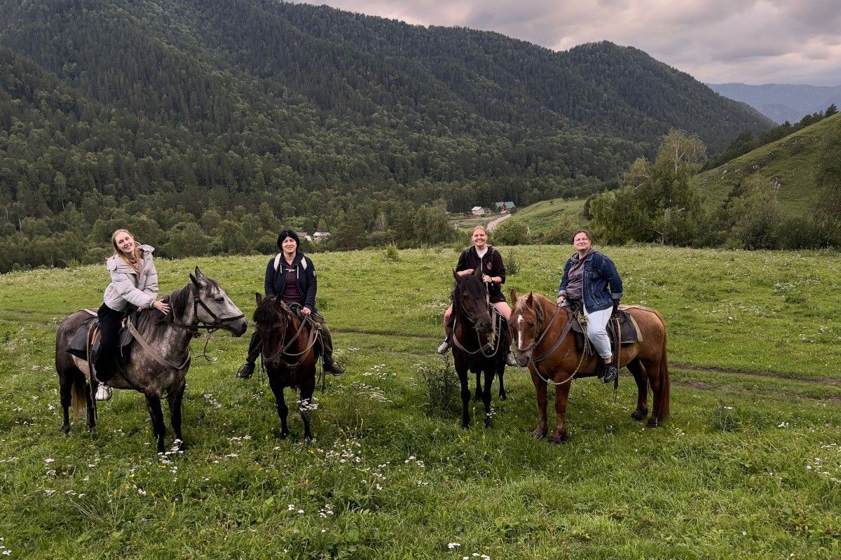 лошади алтая