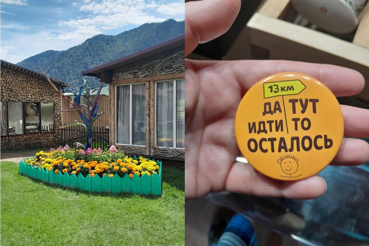 пасека чемал