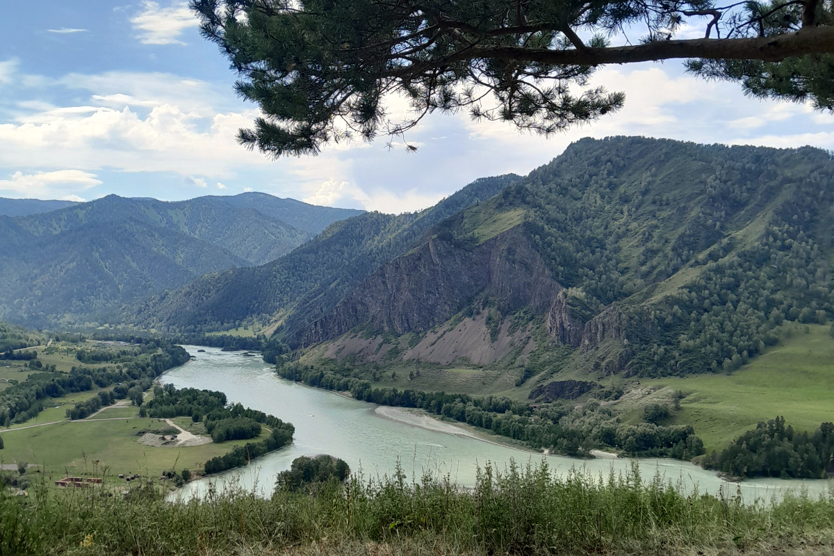 толгоек алтай