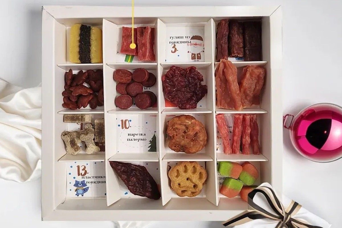 календарь для собак