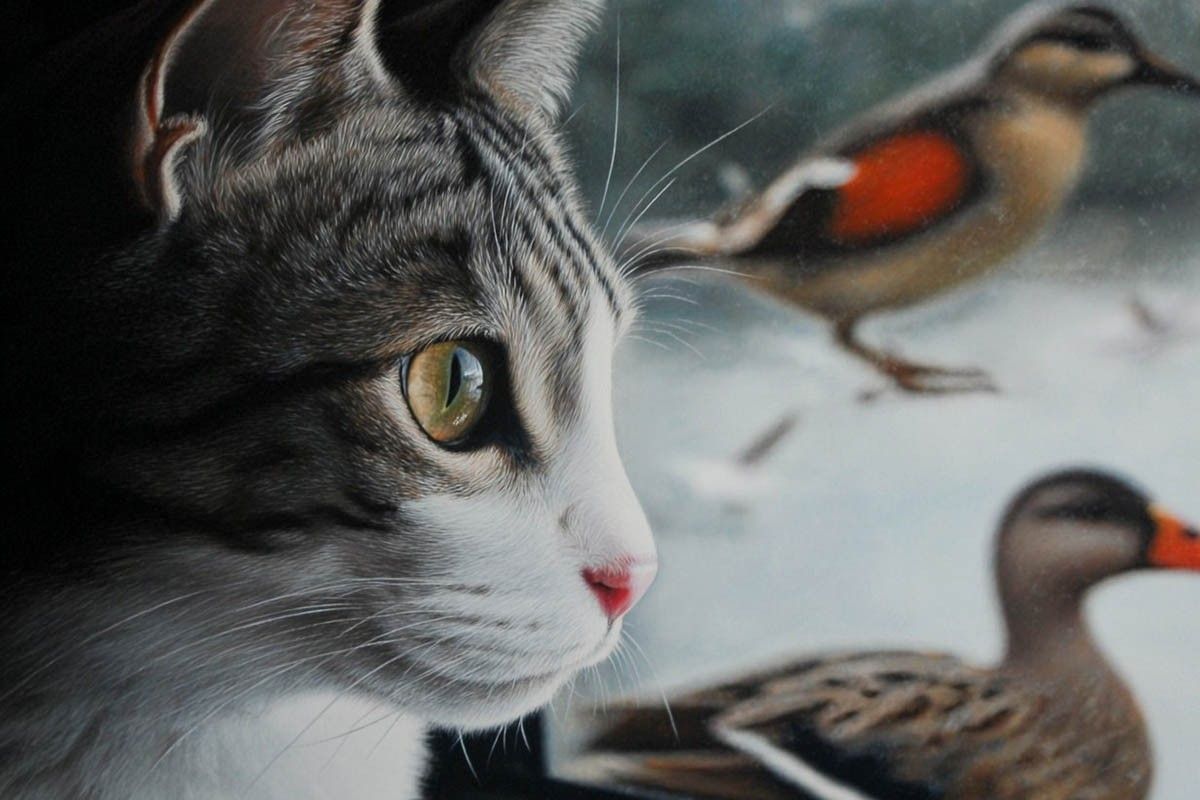 Можно ли оставлять питомцев дома