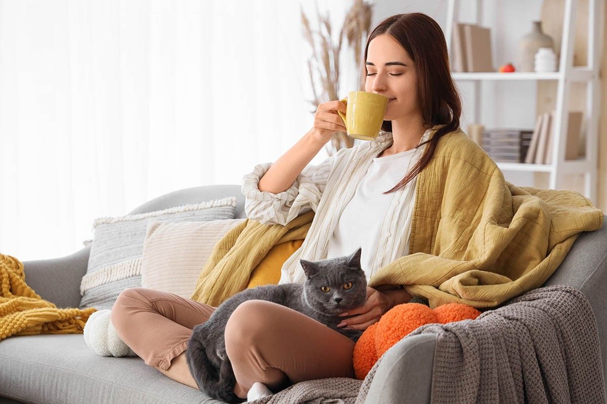 как узнать возраст кошки