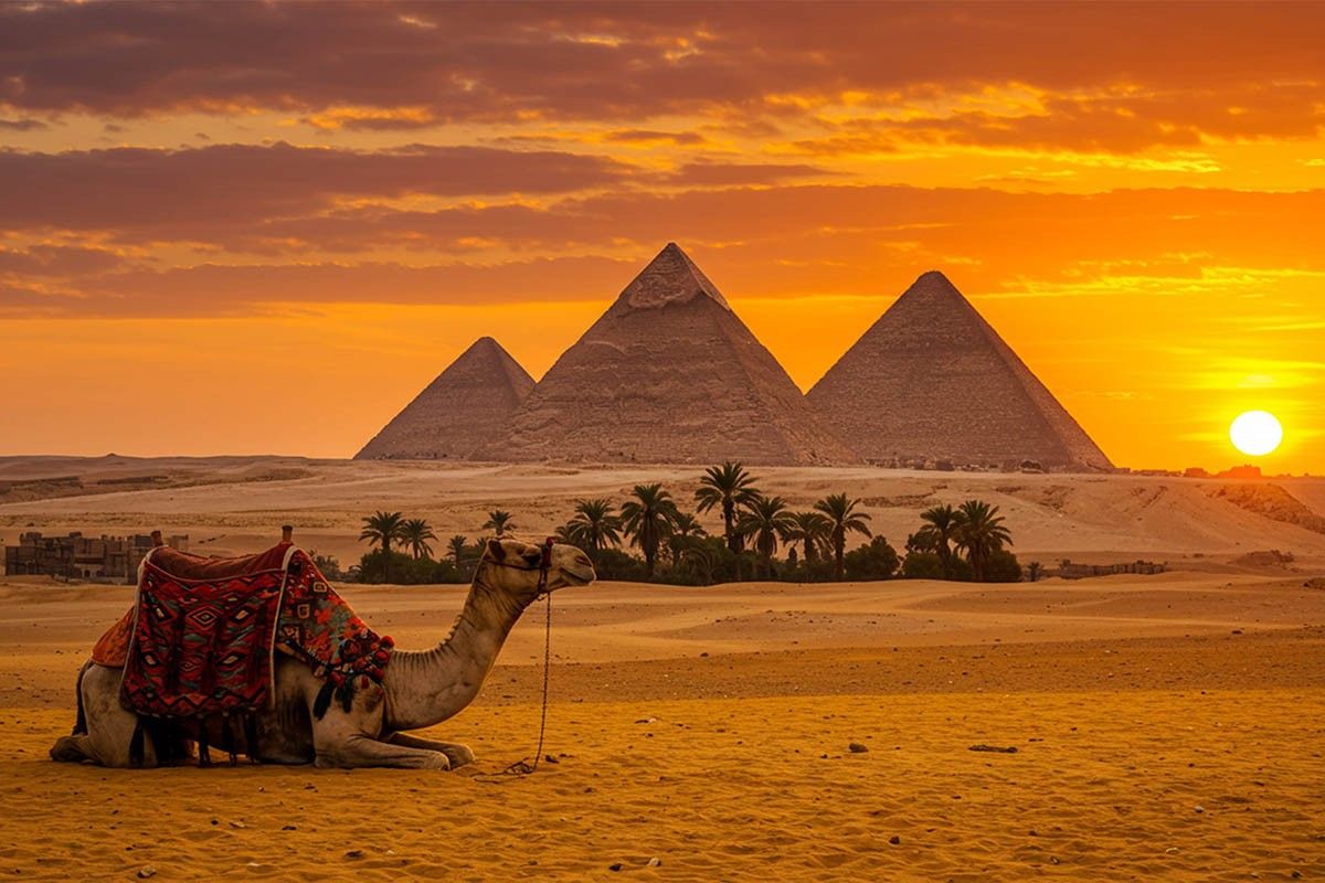 теплые страны зимой