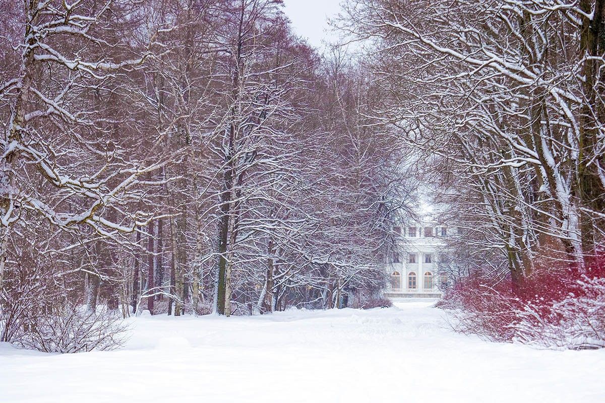 что посетить в санкт петербурге зимой