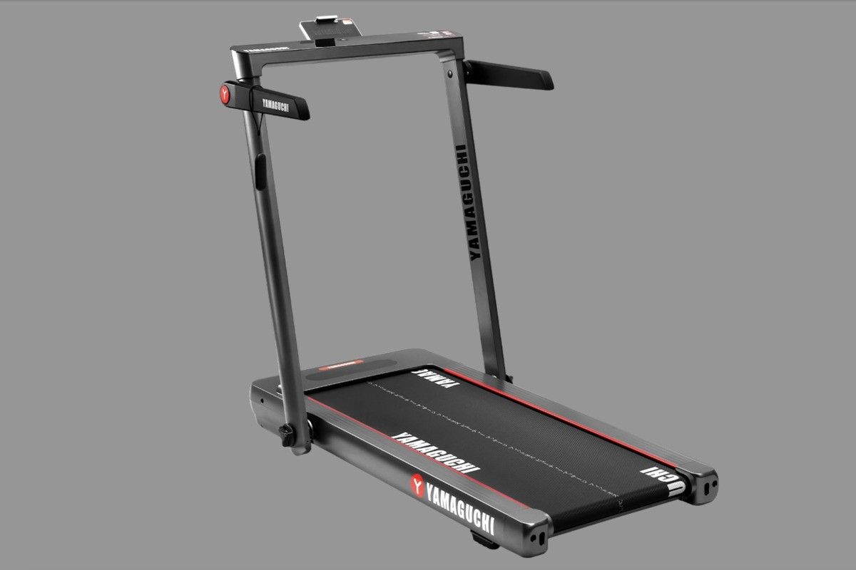 как правильно выбрать дорожку для дома