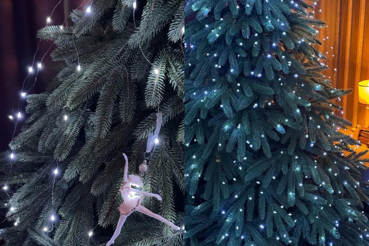 лучшая гирлянда роса