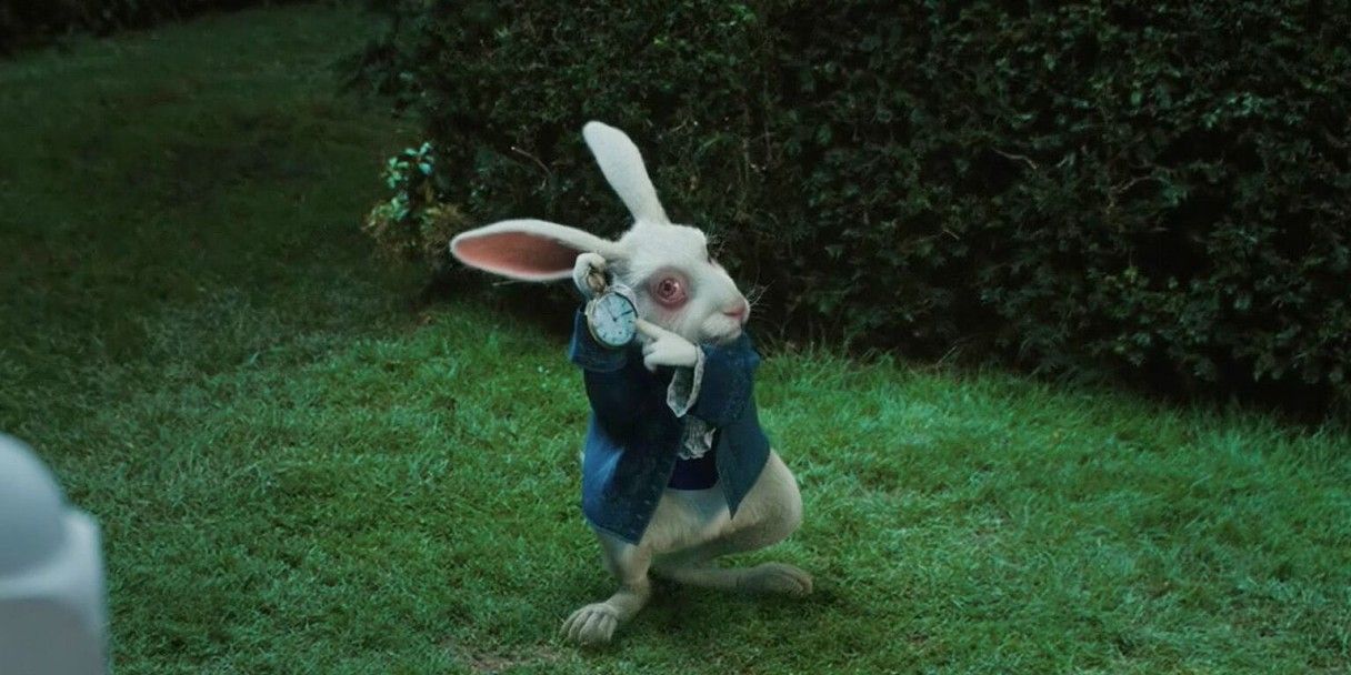 Кролик с часами захватил соцсети: что значит новый мем