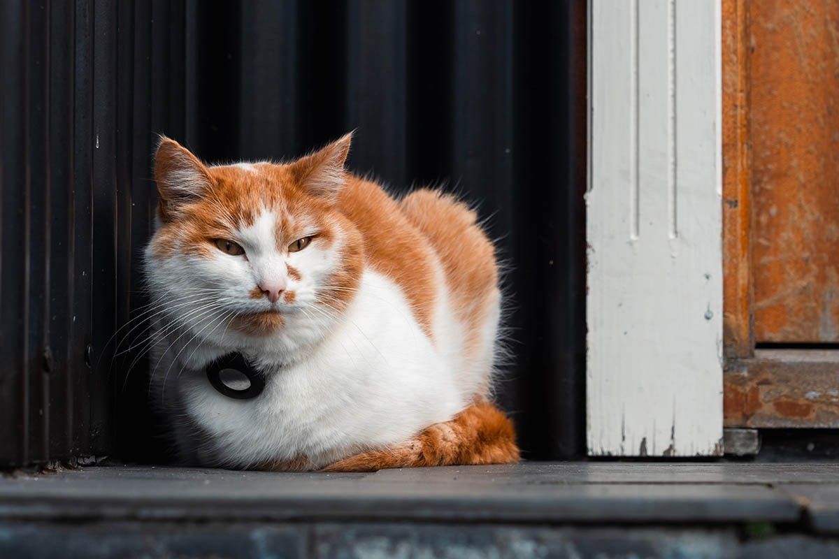 гаджеты для путешествий