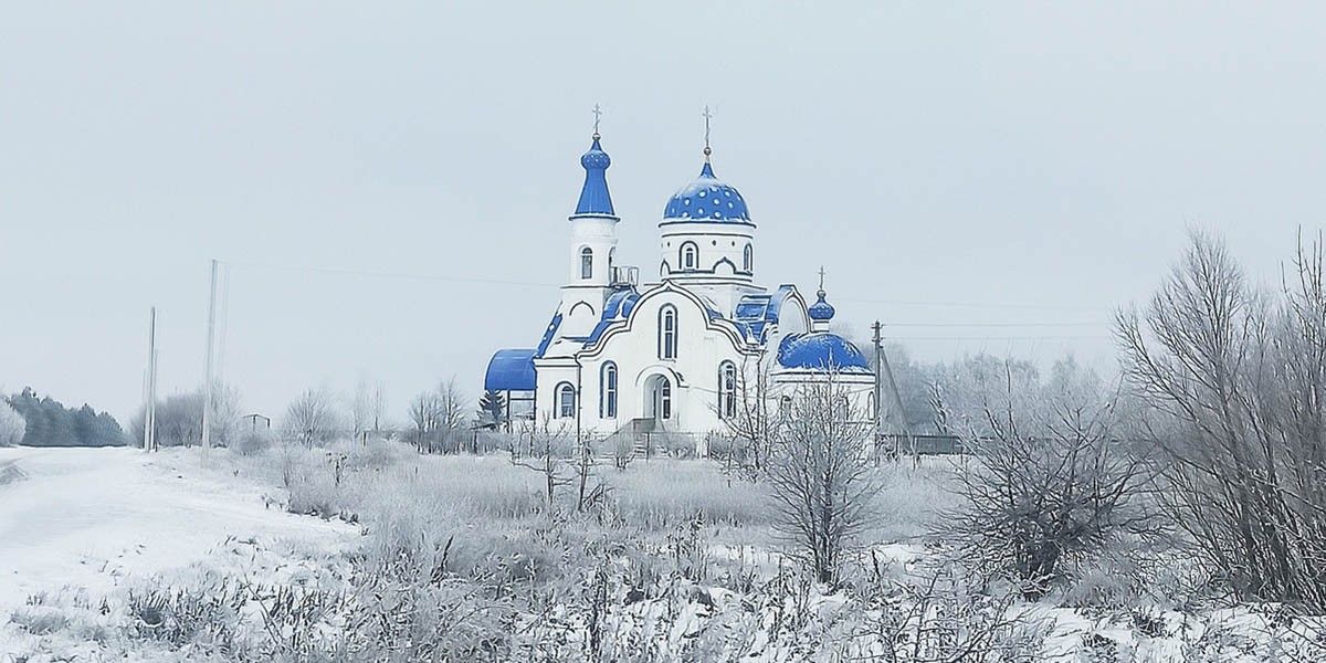 Год ищу красоту вокруг и фотографирую на телефон: что мне это дало