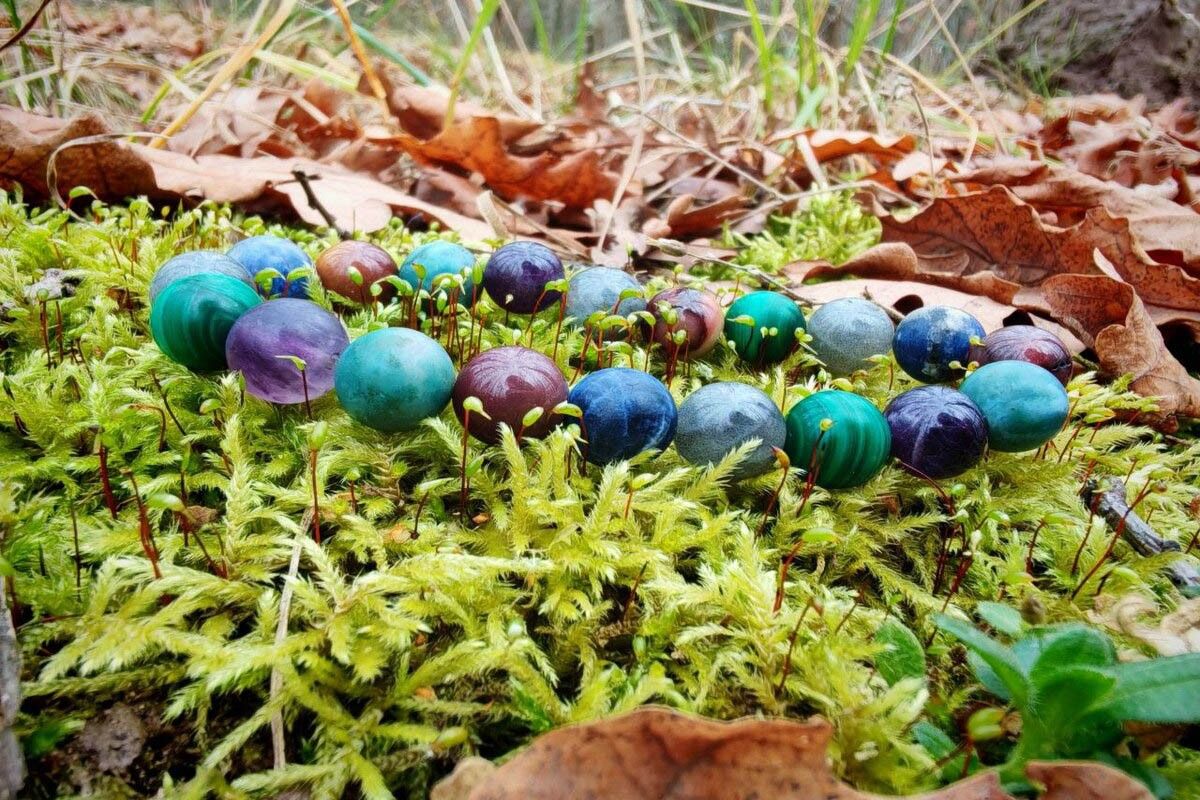 фанатеть по растительности — это жиза