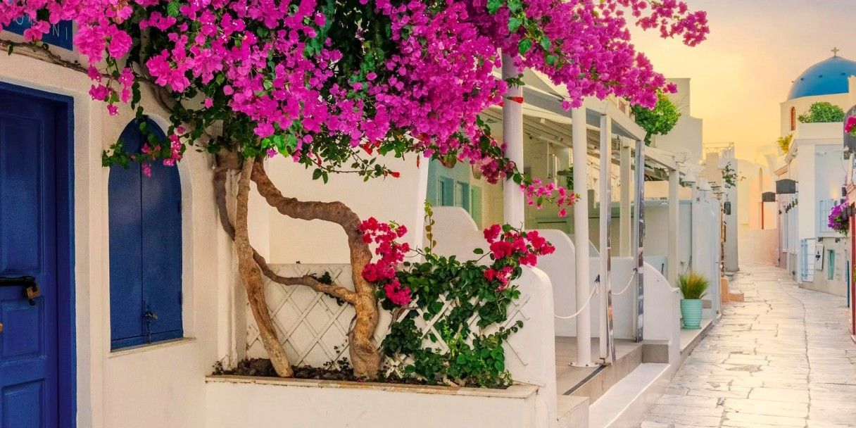 виза на Кипр