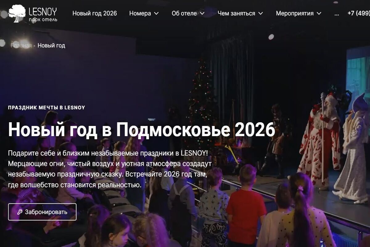 новый год в Подмосковье