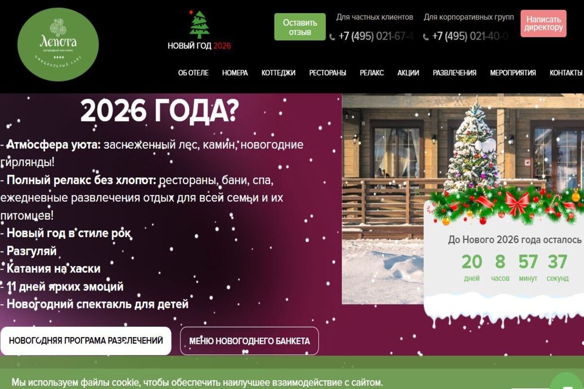 новый год в Подмосковье