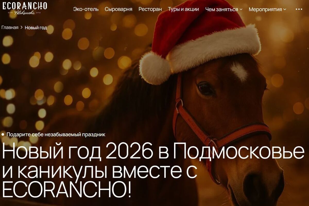 новый год с детьми в Подмосковье