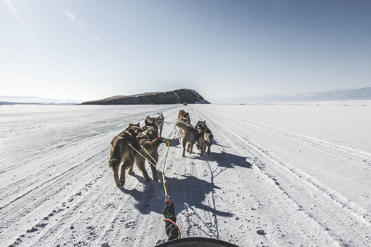 где покататься на собачьих упряжках