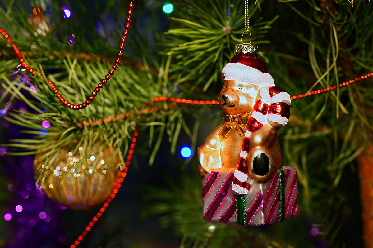 как выбрать новогоднюю елку