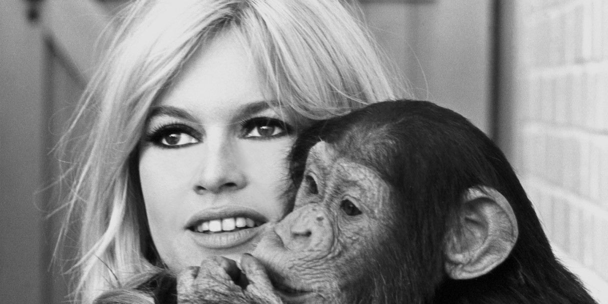 Брижит Бардо: как сложилась судьба символа Франции и защитницы животных