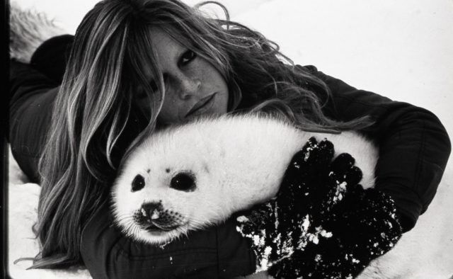 Бриджит Бардо и животные