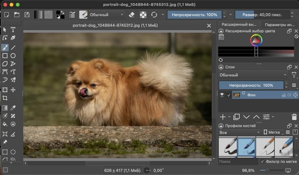 графические редакторы на мак