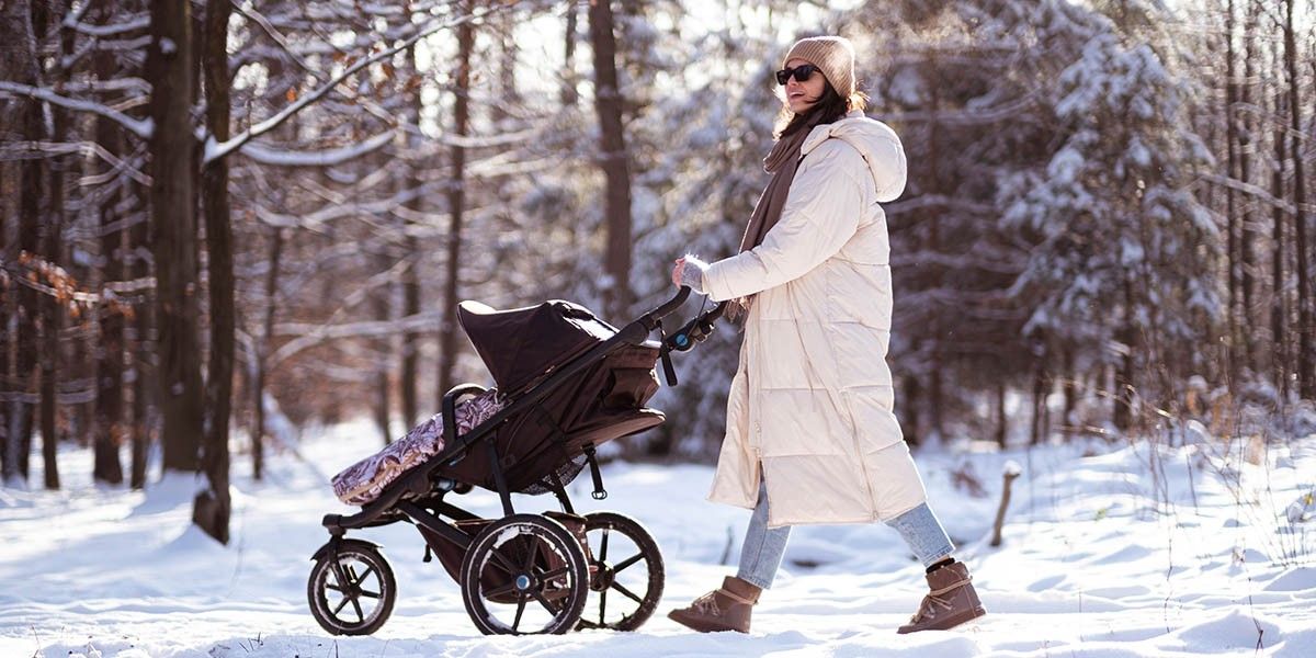 Зимние прогулочные коляски: топ-10 лучших