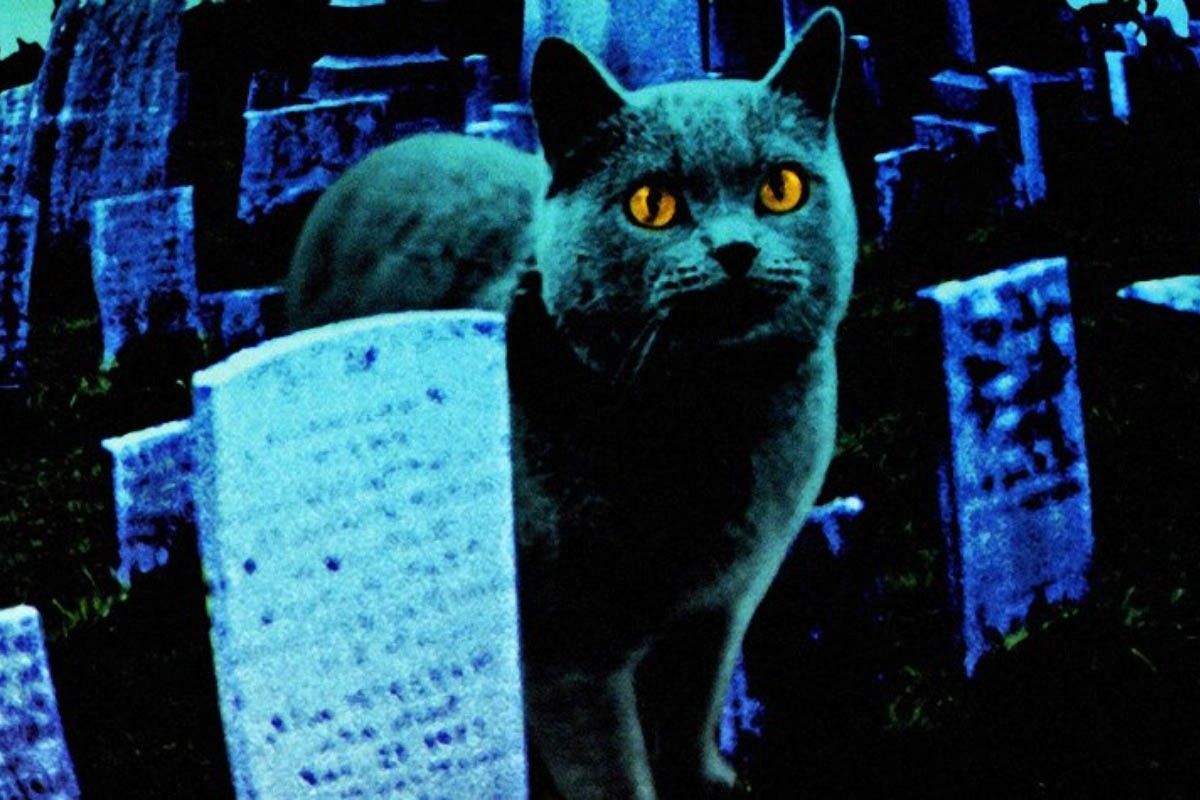 Кладбище домашних животных