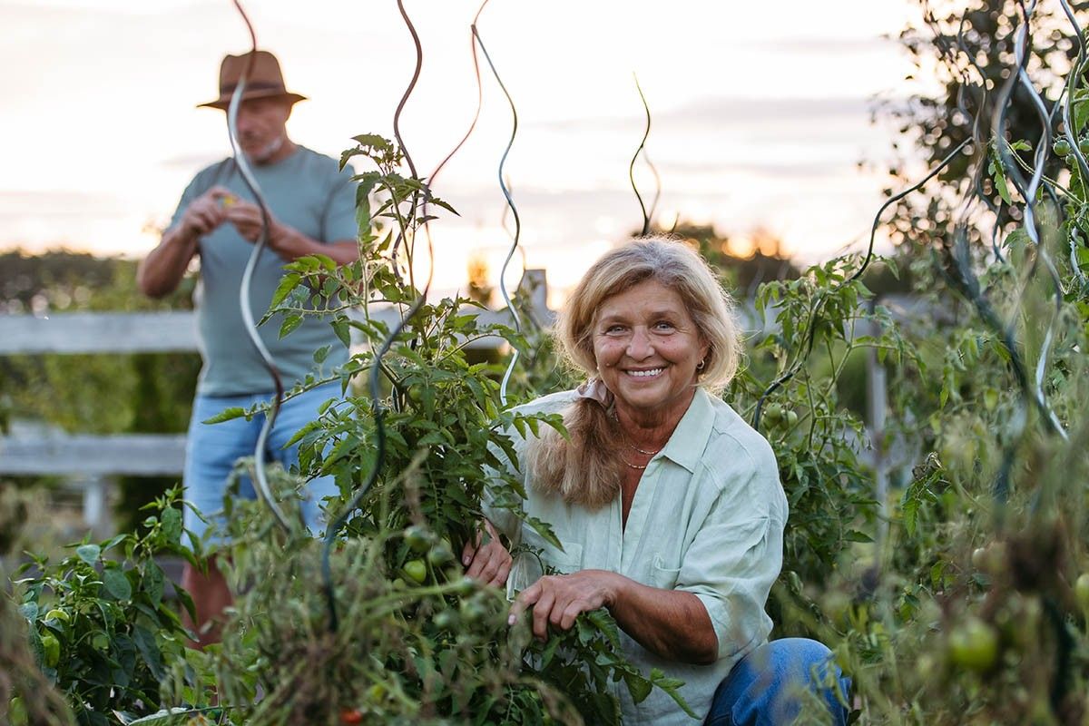 лунный посевной календарь