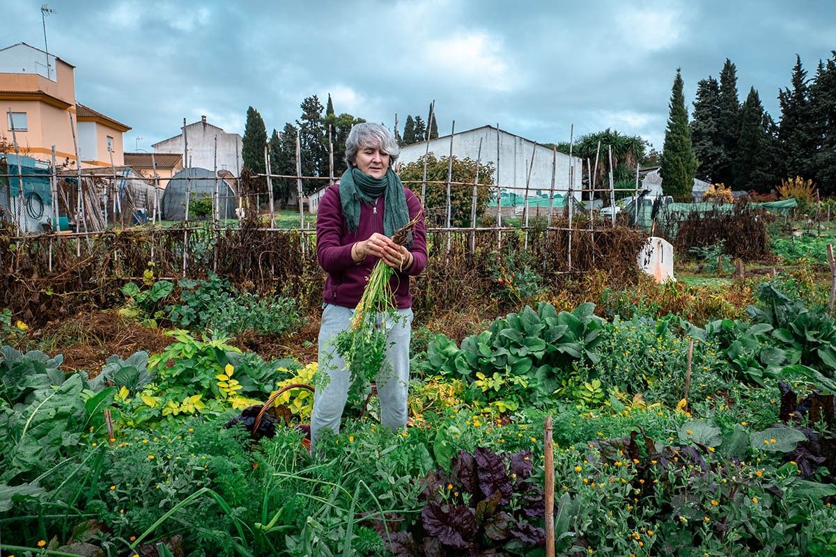 лунный посевной календарь