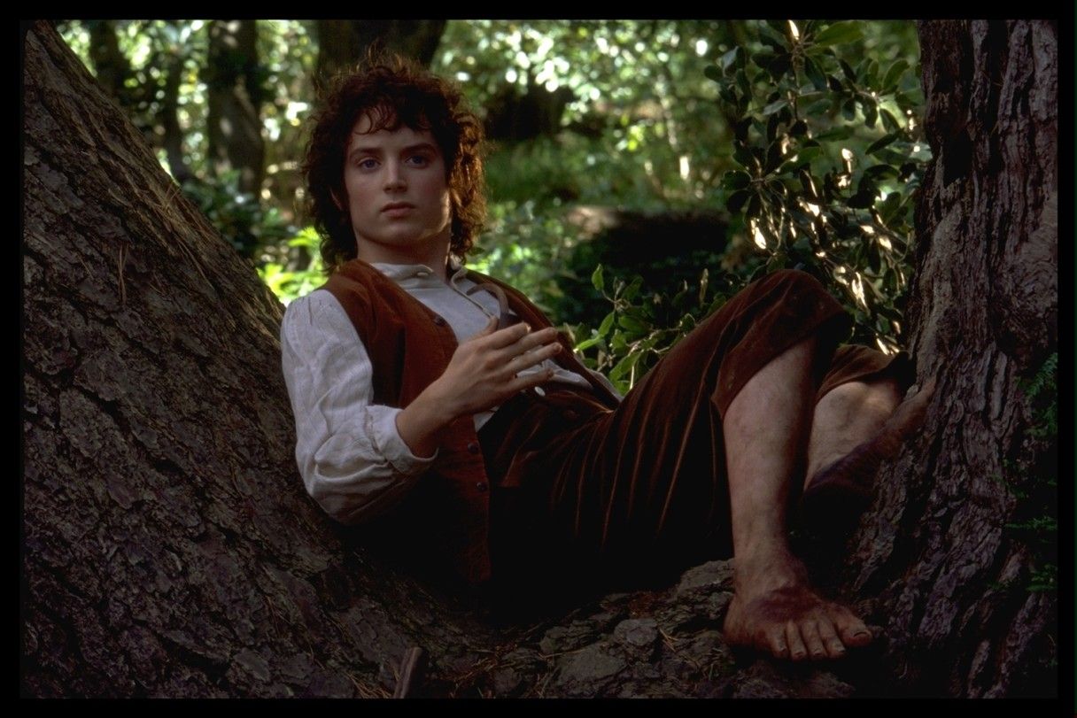 Фродо Бэггинс