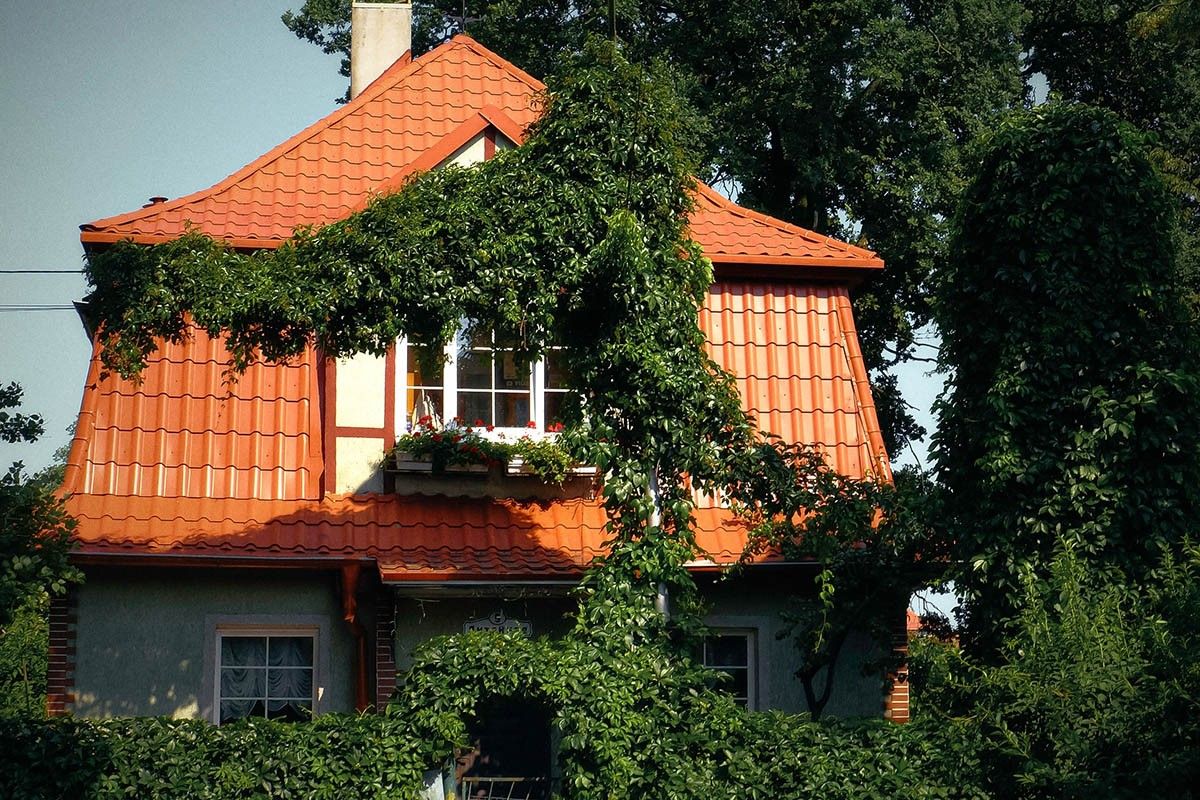 амалиенау калининград