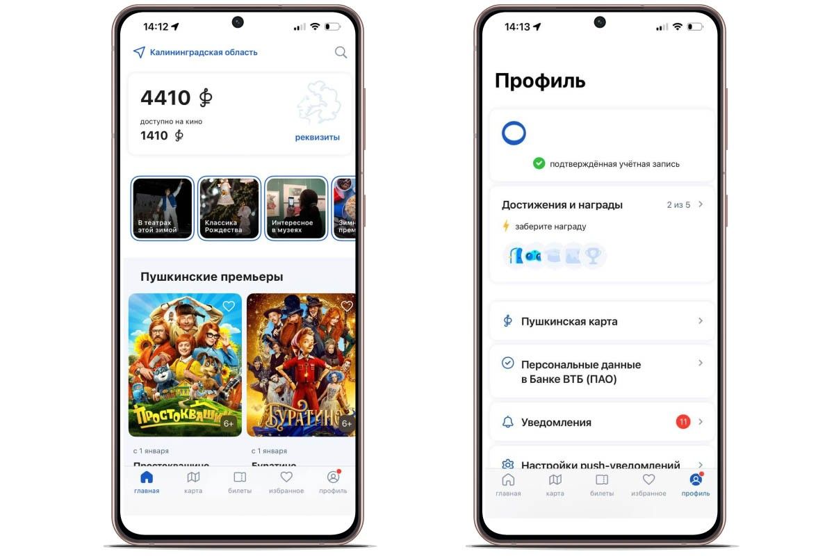 баланс пушкинской карты на 2026