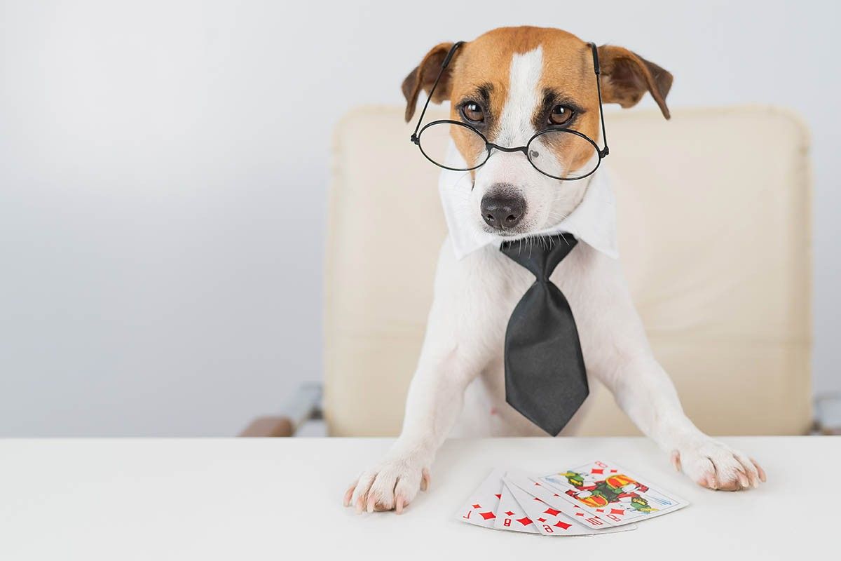 правила игры в покер для начинающих