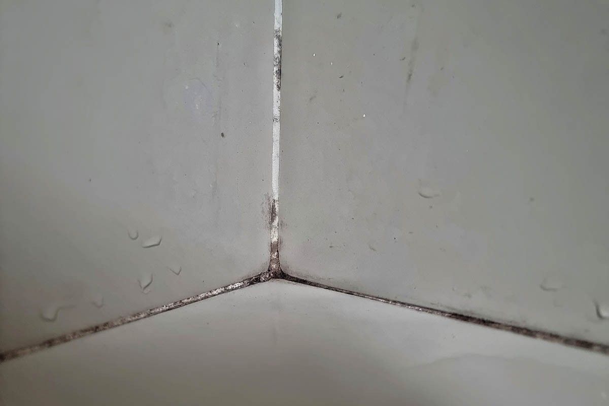 какая затирка для плитки лучше